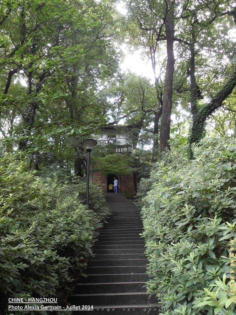 Alexia-Hangzhou 042.JPG -           